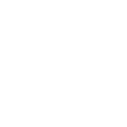 Logo Steegh Performance in negatieve kleurstelling